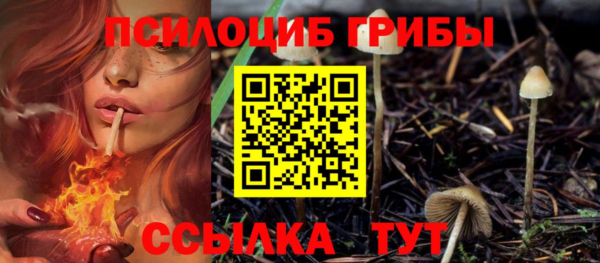Псилоцибиновые грибы MAGIC MUSHROOMS  Вход с VPN  Сердобск 